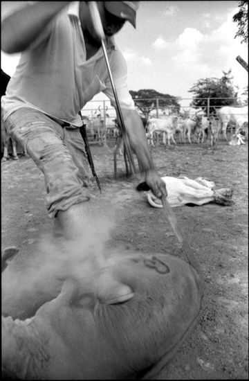 De la serie: Venezuela Cotidiana Photojournalism and Documentary Black and White (Manual)