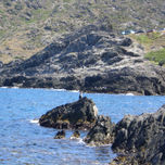 El Port de la Selva thumbnail 2