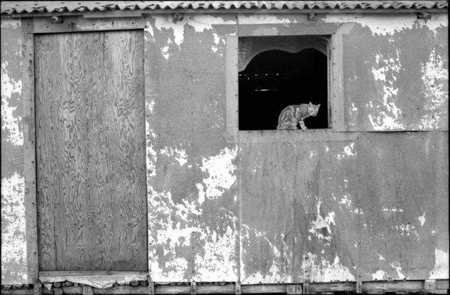 De la serie: Venezuela Cotidiana Photojournalism and Documentary Black and White (Manual)