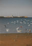LA CALETA 2