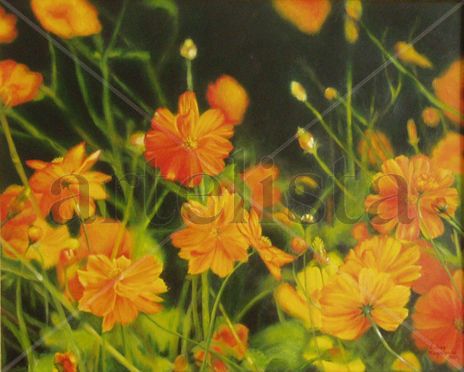 Cosmos 1