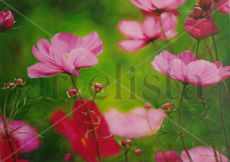 Cosmos 2