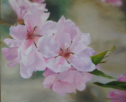 Flores de duraznero