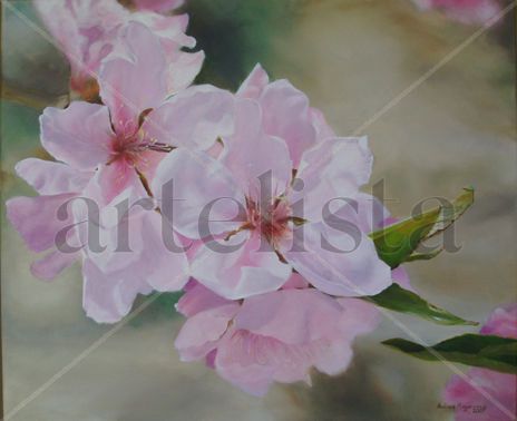 Flores de duraznero