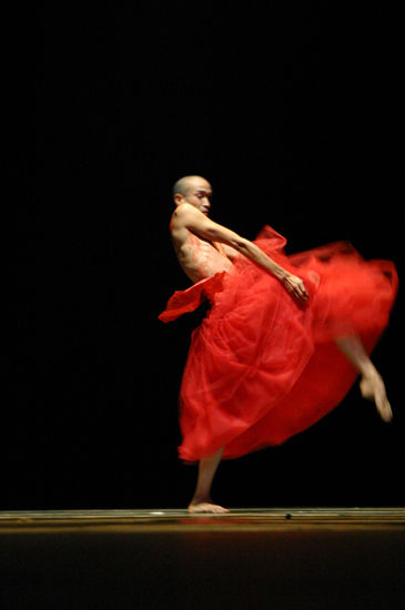 de la serie Festival Internacional de Danza Solos y Duetos 2005 Photojournalism and Documentary Color (Manual)