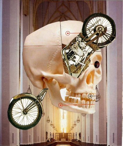 Ciclo ciclo