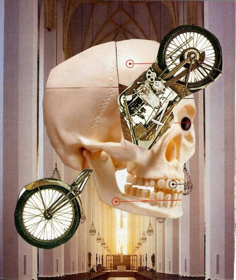 Ciclo ciclo