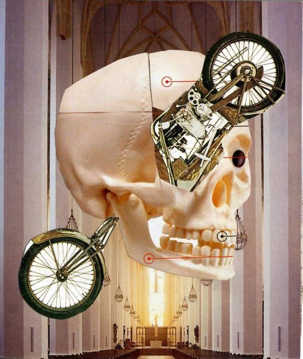 CICLO CICLO