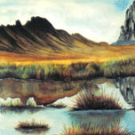 Paisajes y Naturaleza thumbnail 2