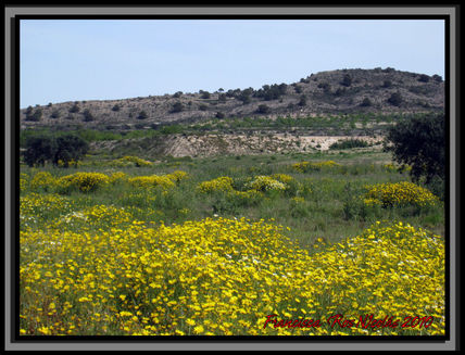 Paisaje de contrastes