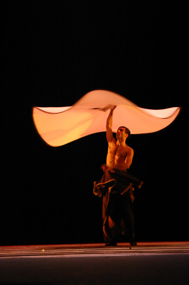 de la serie Festival Internacional de Danza Solos y Duetos 2005