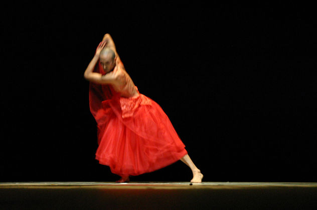 de la serie Festival Internacional de Danza Solos y Duetos 2005