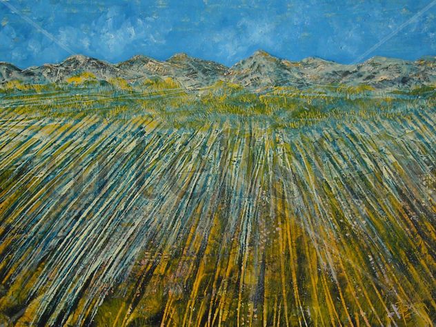 campos ruturados y cielo azul
