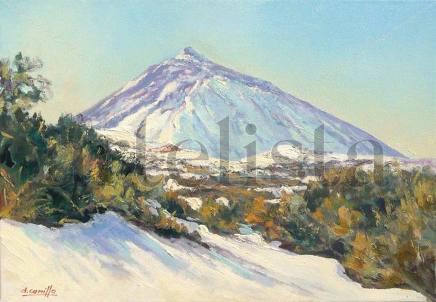 TEIDE NEVADO Oil Canvas Landscaping