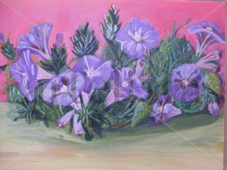 Flores