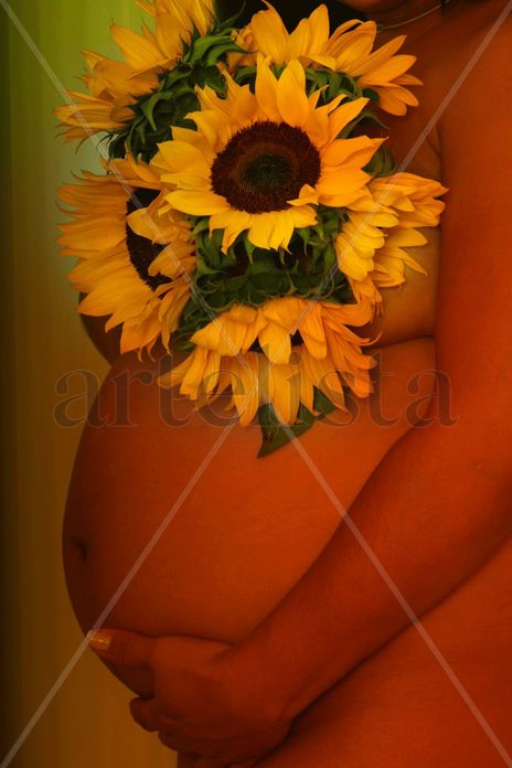Mi girasol