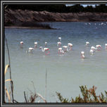 Naturaleza thumbnail 2