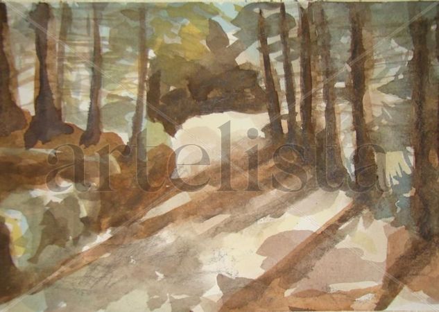 camino en La Cumbrecita Watercolour Paper Landscaping