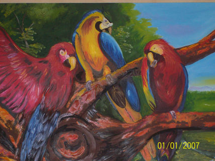 Guacamayas