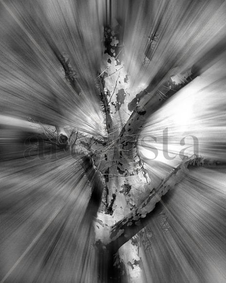 Light speed