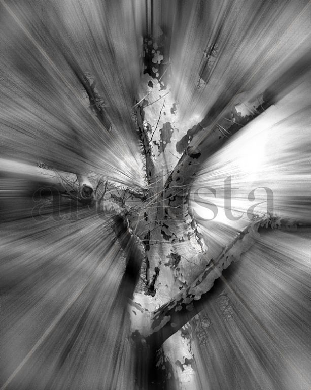 Light speed