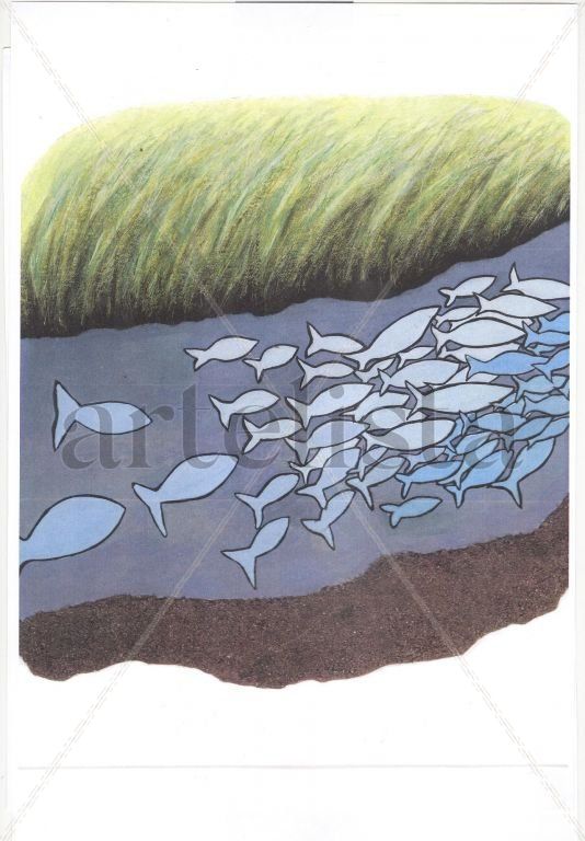 peces