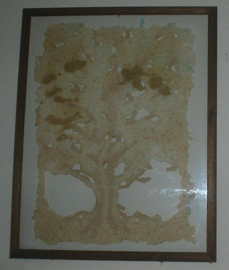 Arbol Palido