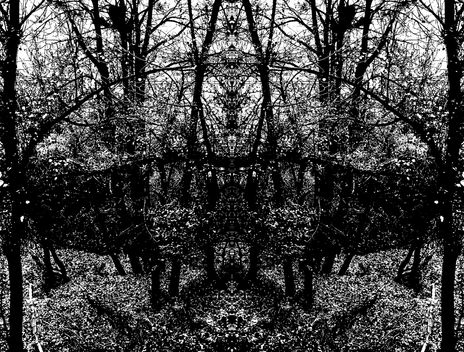 Bosque