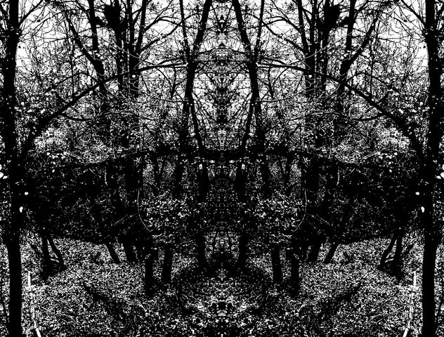 Bosque