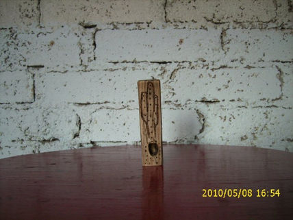 Pipa desertica
