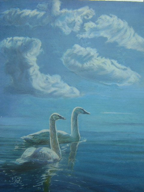 LOS CISNES DE FLORENCIA