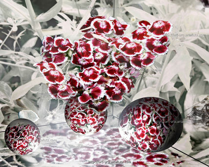 Lightbox 3d