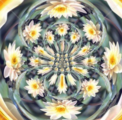 Fractal-nenufares...