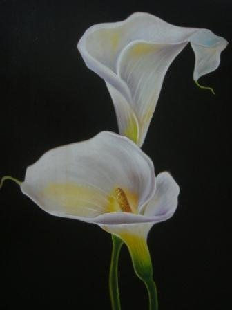 CALAS EN FONDO OSCURO Oil Canvas Floral Painting