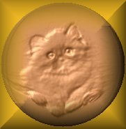 Mi gatito