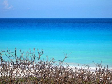 playa cancun 4