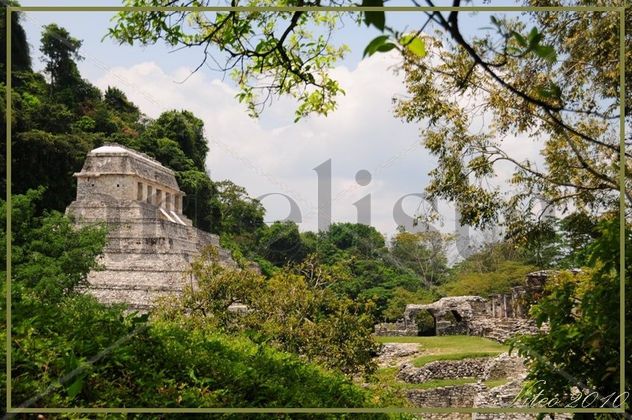 Palenque 1