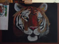 tigre