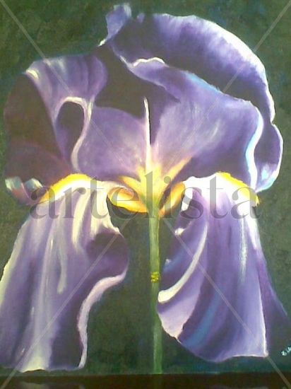 IRIS Oil Panel Floral Painting