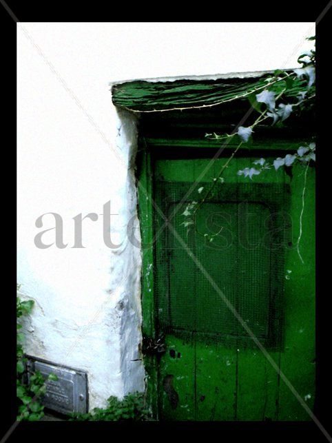 Puerta verde y flores azules