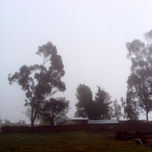 FOTOGRAFIA ARTISTICA thumbnail 1