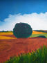 Paisaje Manchego