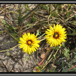 FOTOS thumbnail 1