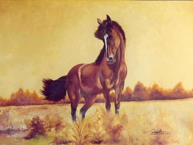 Rey de la pradera Oil Canvas Animals