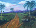 cañaverales cubanos