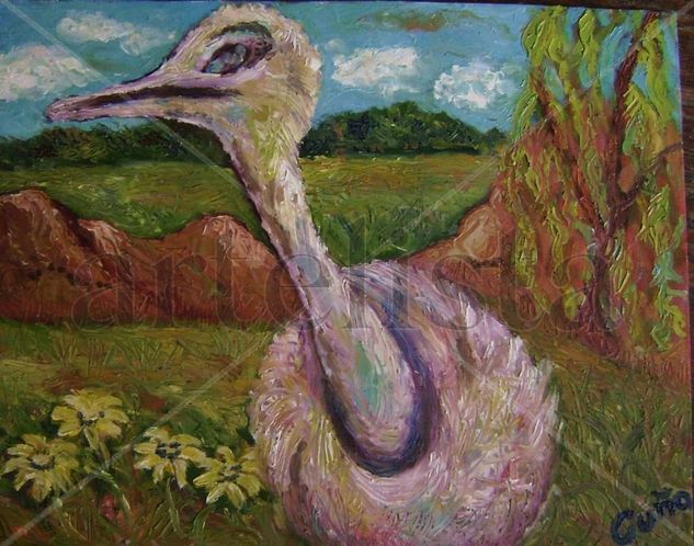 avestruz Oil Canvas Animals