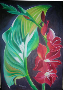 "flowers color"