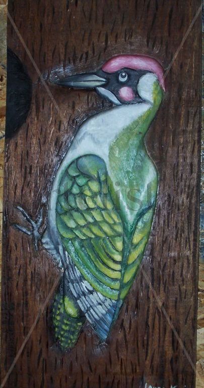 Carpintero Verde