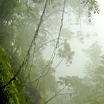 Parque Nacional Henri  o Henry Pittier-Venezuela thumbnail 1