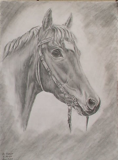 caballos 2 Pencil